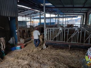 알 수 없음님의 자유주제 · 자유게시판 작성글 사진