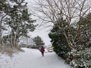 박천영님의 자유주제 · 자유게시판 작성글 사진