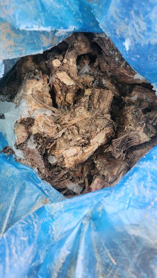 정미리님의 자유주제 · 자유게시판 작성글 사진