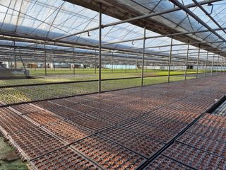 청운농원육묘장님의 2월 농사 계획 공유해요 · 참여글 작성글 사진