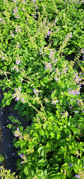 박동현님의 작성글 사진