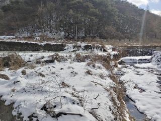 이현상님의 자유주제 · 자유게시판 작성글 사진