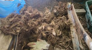 정미리님의 자유주제 · 자유게시판 작성글 사진