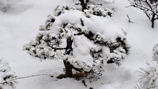 이정운님의 자유주제 · 자유게시판 작성글 사진