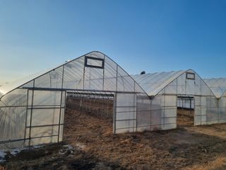 머슴님의 자유주제 · 자유게시판 작성글 사진