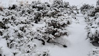 이정운님의 자유주제 · 자유게시판 작성글 사진