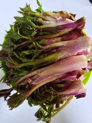 오아성님의 작성글 사진