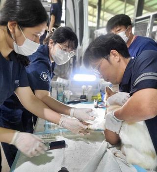 국중선님의 자유주제 · 자유게시판 작성글 사진