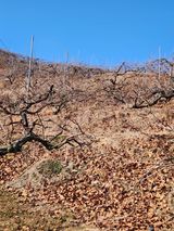 팜모닝 자유주제·자유게시판 게시글 이미지