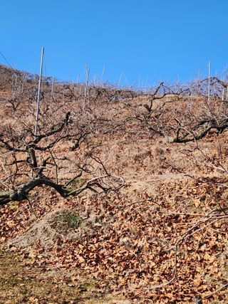진짜뒤비진놈님의 자유주제 · 자유게시판 작성글 사진