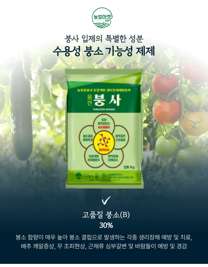 농업마켓365님의 장터 판매 상품 [농업마켓365 융전 붕사 입제 1kg 배추 무우 붕소 생리장해 갓 양배추 감자 고구마 당근 마늘 바람들이 미량요소] 첨부 사진
