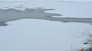 이정운님의 자유주제 · 자유게시판 작성글 사진