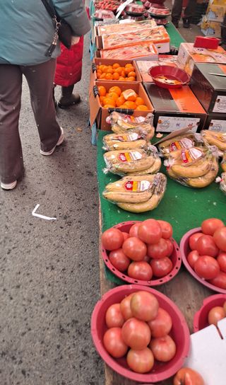 MSG0074님의 자유주제 · 자유게시판 작성글 사진