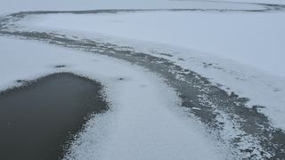 이정운님의 자유주제 · 자유게시판 작성글 사진