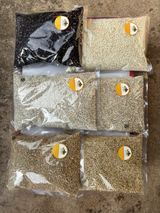 팜모닝 · 게시글 이미지