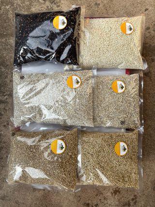 서동님의 작성글 사진