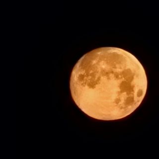  청계유정란 박진균님의 자유주제 · 자유게시판 작성글 사진