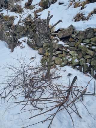 김용대님의 자유주제 · 자유게시판 작성글 사진