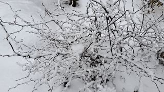 이정운님의 자유주제 · 자유게시판 작성글 사진