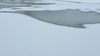 이정운님의 자유주제 · 자유게시판 작성글 사진