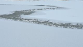 이정운님의 자유주제 · 자유게시판 작성글 사진