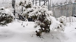 이정운님의 자유주제 · 자유게시판 작성글 사진