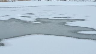 이정운님의 자유주제 · 자유게시판 작성글 사진