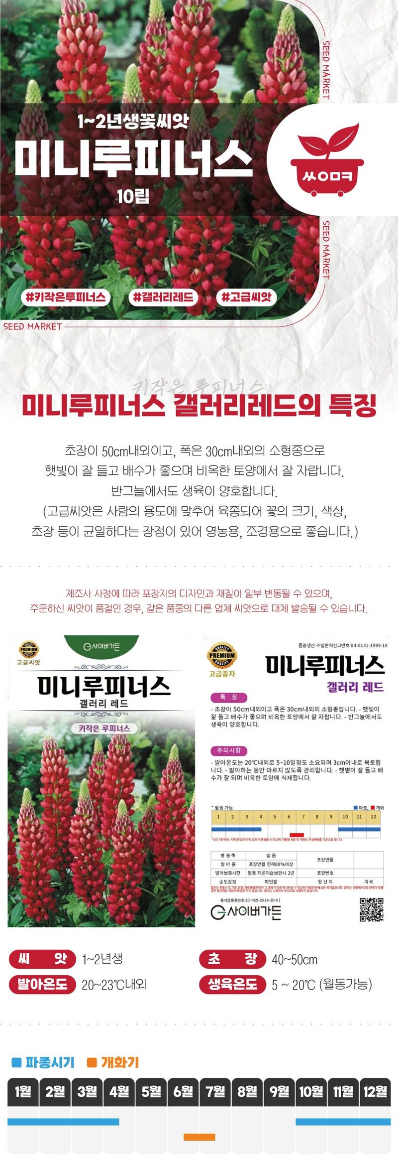 산들마켓,씨앗마켓님의 장터 판매 상품 [키작은 루피너스 씨앗 10립 갤러리 레드 미니루피너스 꽃씨 종자 3개+랜덤 씨앗 1개 증정] 첨부 사진