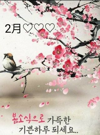 홍촌님의 정월대보름 음식 추천해요 · 참여글 작성글 사진