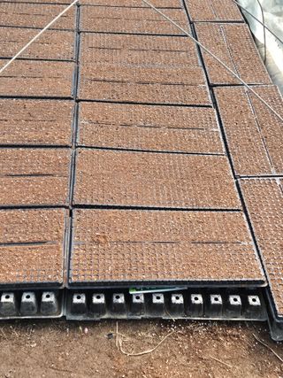 병풍취산채농원님의 자유주제 · 자유게시판 작성글 사진