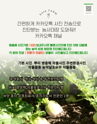 대산농사대장님의 딸기 · 비료•농약 작성글 사진