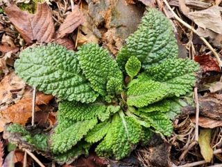 MSG0074님의 자유주제 · 자유게시판 작성글 사진