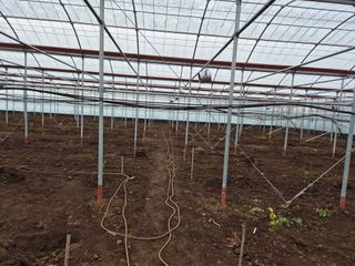 진우님의 작성글 사진