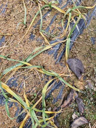 종이박님의 자유주제 · 자유게시판 작성글 사진