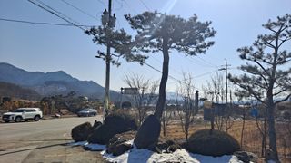 MSG0074님의 자유주제 · 자유게시판 작성글 사진