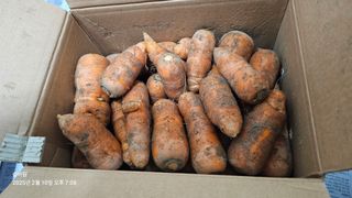 솔바람 님의 작성글 사진