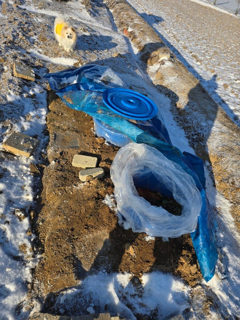 정옥령님의 장터 판매 상품 [김장김치 10kg ] 첨부 사진