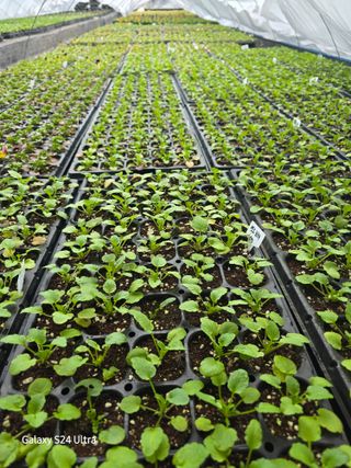 약초원 김종군님의 자유주제 · 자유게시판 작성글 사진