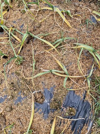 종이박님의 자유주제 · 자유게시판 작성글 사진