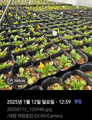 약초원 김종군님의 자유주제 · 자유게시판 작성글 사진