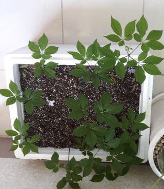 MSG0074님의 자유주제 · 자유게시판 작성글 사진