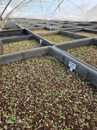 약초원 김종군님의 자유주제 · 자유게시판 작성글 사진