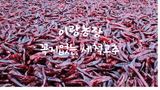 팜모닝 · 게시글 이미지