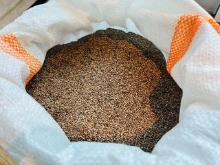 알 수 없음님의 작성글 사진