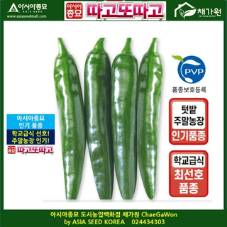 아시아종묘님의 자유주제 · 자유게시판 작성글 사진