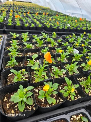 약초원 김종군님의 자유주제 · 자유게시판 작성글 사진