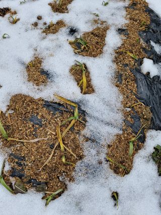 종이박님의 자유주제 · 자유게시판 작성글 사진