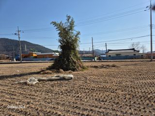 사천시향촌동 돼지띠님의 자유주제 · 자유게시판 작성글 사진