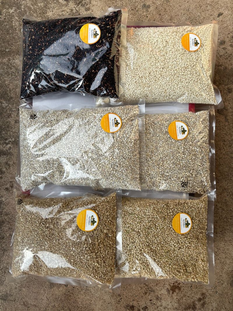 서동님의 장터 판매 상품 [청태콩500g] 첨부 사진