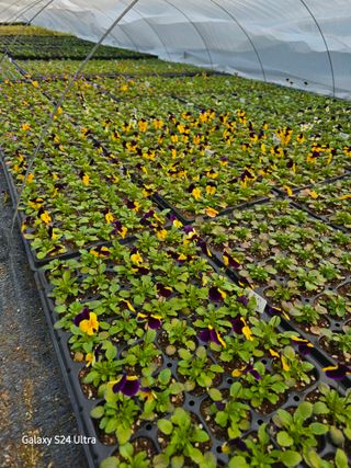 약초원 김종군님의 자유주제 · 자유게시판 작성글 사진